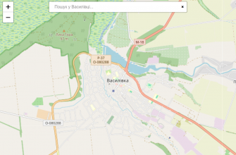 Мапа міста Василівка